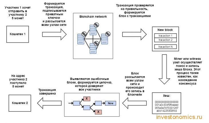 Какие этапы работы системы блокчейн?